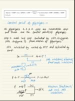 RESPIRATION IN PLANTS - Image 8