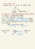 RESPIRATION IN PLANTS - Image 9
