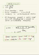 RESPIRATION IN PLANTS - Image 10