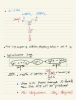 RESPIRATION IN PLANTS - Image 18