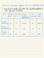 RESPIRATION IN PLANTS - Image 20