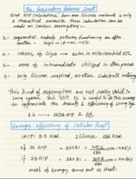 RESPIRATION IN PLANTS - Image 21