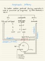RESPIRATION IN PLANTS - Image 22