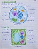 Study of cell chapter 1 - Image 3