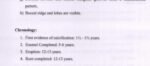 BDS 1st Year Dental Anatomy: Premolars' Arch, Type & Class Traits + Chronology Table (High-Yield Viva & Exam PDF) - Image 2
