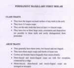 BDS 1st Year Dental Anatomy: Molars' Arch, Type & Class Traits + Chronology Table (High-Yield Viva & Exam PDF) - Image 2
