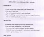 BDS 1st Year Dental Anatomy: Molars' Arch, Type & Class Traits + Chronology Table (High-Yield Viva & Exam PDF) - Image 3
