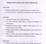 BDS 1st Year Dental Anatomy: Premolars' Arch, Type & Class Traits + Chronology Table (High-Yield Viva & Exam PDF)