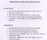 BDS 1st Year Dental Anatomy: Molars' Arch, Type & Class Traits + Chronology Table (High-Yield Viva & Exam PDF)