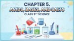 Science part 1 chapter 5 Acids Bases and Salts